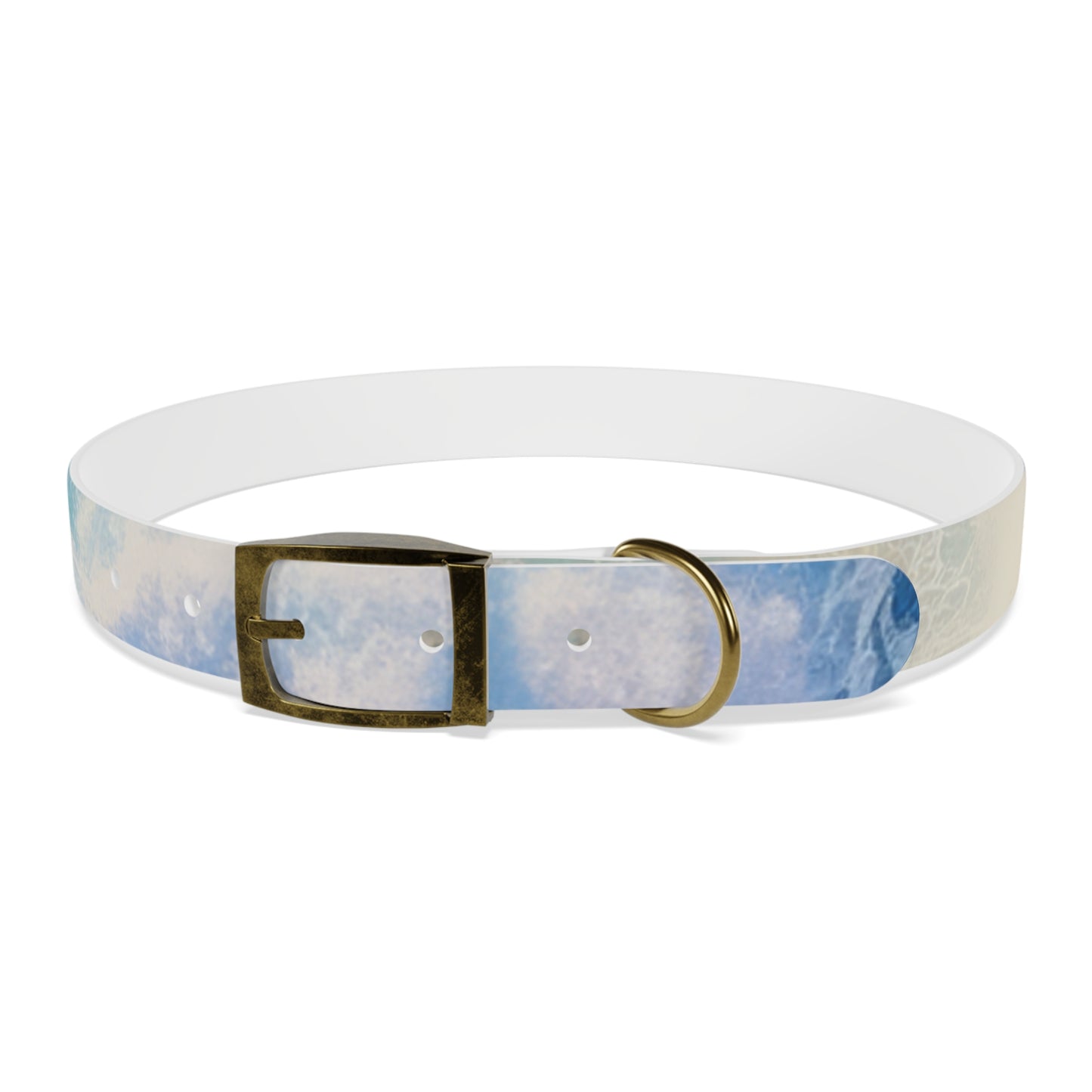 "Surf Club Tortola" The Dog Collar